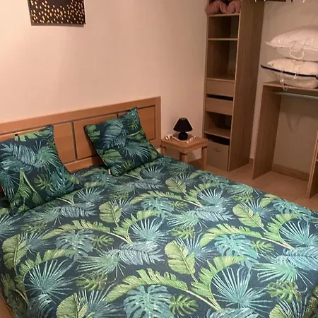 Apartment La Casa De Lilou Santa-Maria-Poggio (Corsica)
