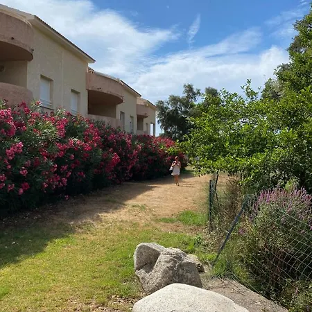 Apartment La Casa De Lilou Santa-Maria-Poggio (Corsica)